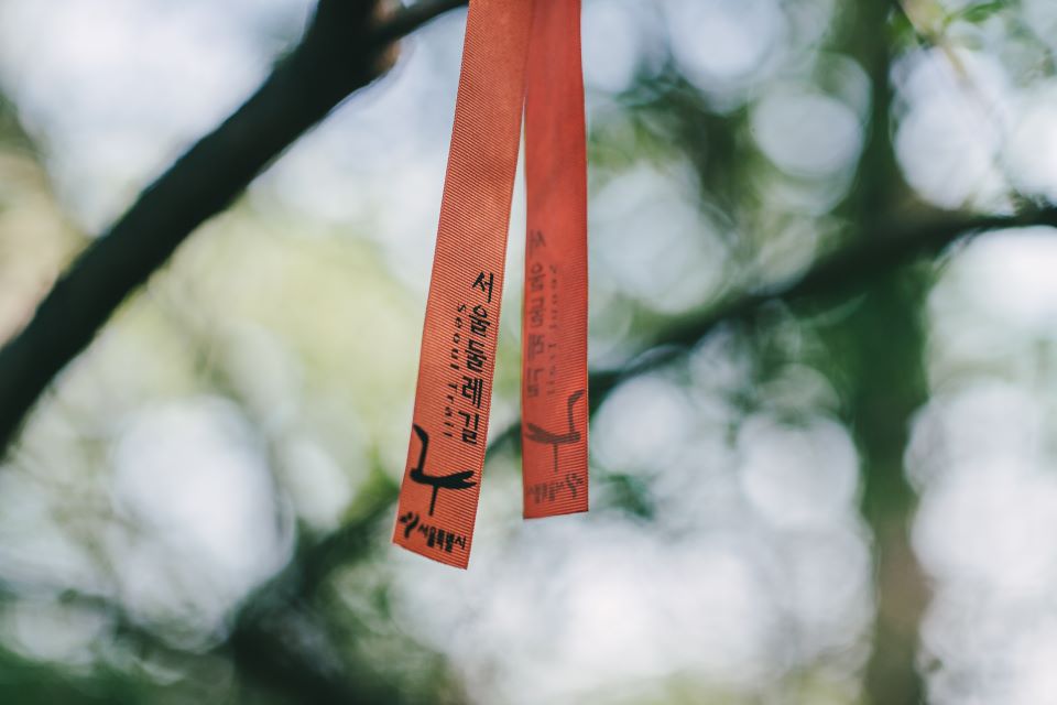 Close-up of the iconic Orange Ribbon navigation marker on Seoul Trail.
